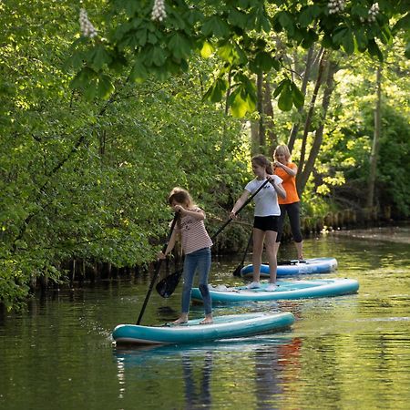 Spreewald Chalet Wohnung Spreeblick Kolonie  المظهر الخارجي الصورة